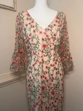 Adrianna Papell Cream Dress with Pink Floral Embroidery